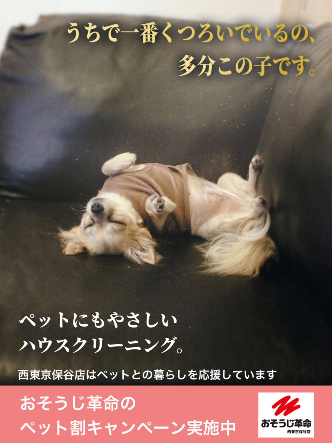 ペットオーナー様限定キャンペーン